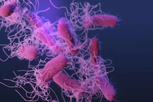 Salmonella-sp.-bacteria.