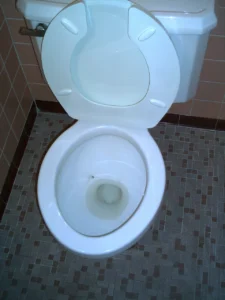 Open toilet