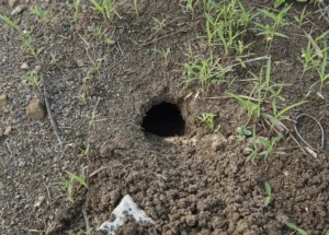 Rat hole in the ground