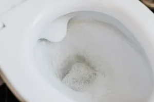 Toilet being flushed