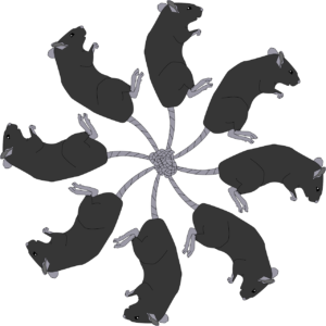An illustration of eight rats with intertwined tails in a rat king