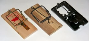 3 types of rat snap traps