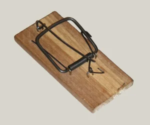 Photo by: Jerry mouse, CC BY-SA 3.0 