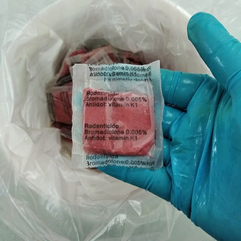 Bromadiolone rat poison in a human hand wearing medical gloves