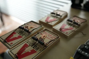 Four Victor Snap Traps on a wooden store shelf