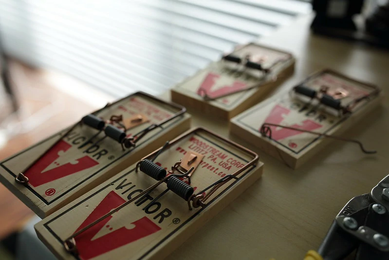 Four Victor Snap Traps on a wooden store shelf