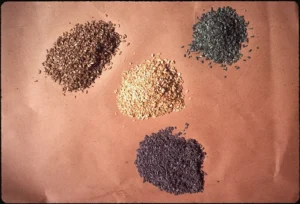 Four heaps of grains poisoned with rat poison