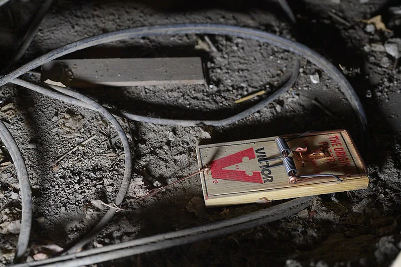 Victor Snap Trap on the dusty floor of an attic