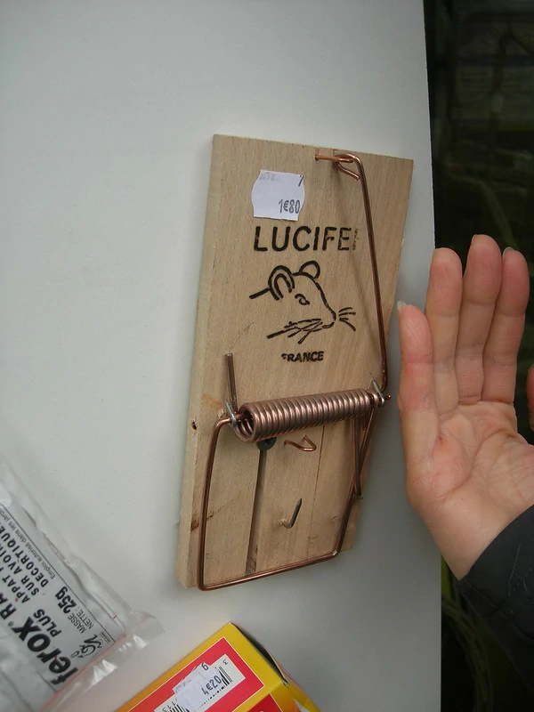 Wooden snap trap next to a human hand for size comparison