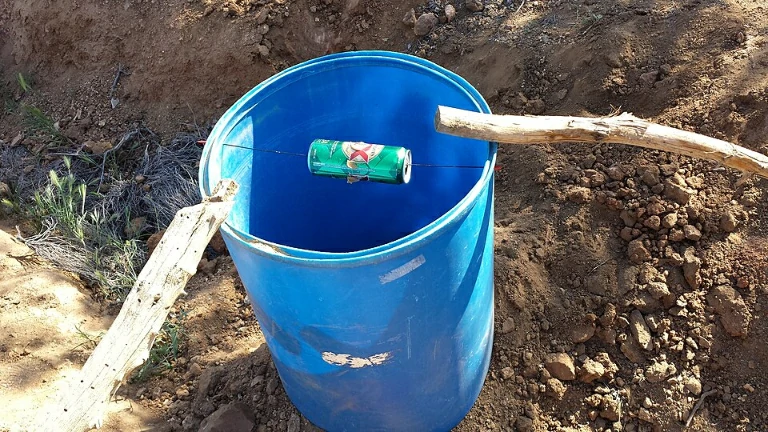 bucket trap to catch rats