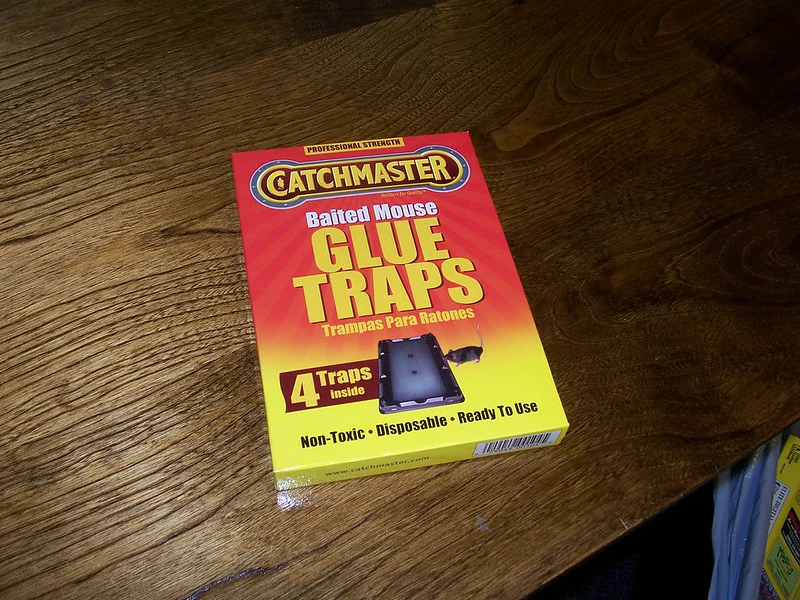 A sealed box of baited glue traps on a brown wooden table