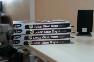 A stack of four sealed glue traps in their boxes
