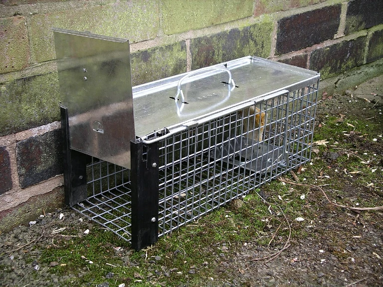 A cage trap with a solid steel door and roof on the ground next to a concrete brick wall